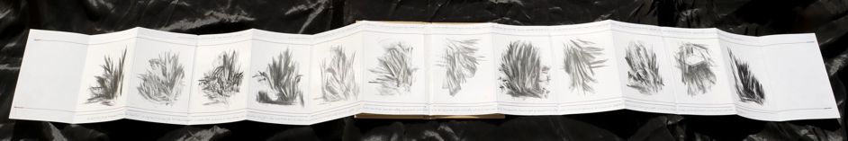 Artistbook Kuenstlerbuch