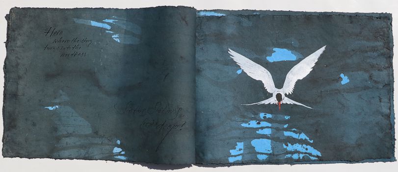 Arctic Terns artist book