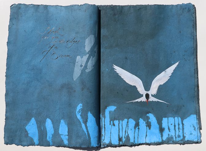 arctic tern artistbook