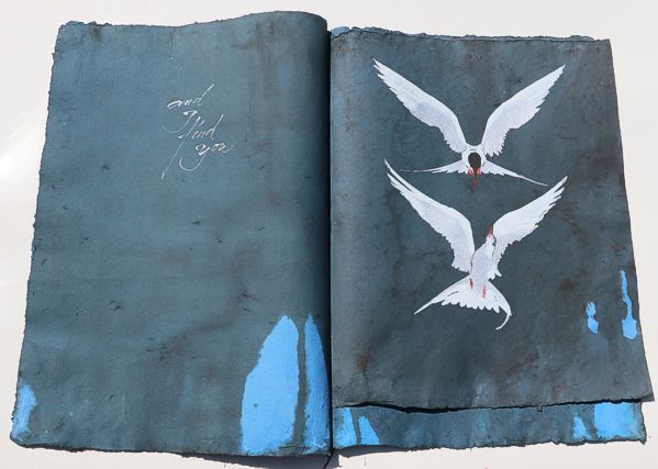 arctic tern artistbook