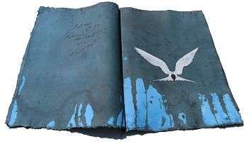 arctic tern artistbook