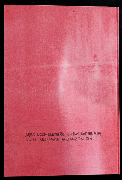 Ascheregen Artistbook Kuenstlerbuch