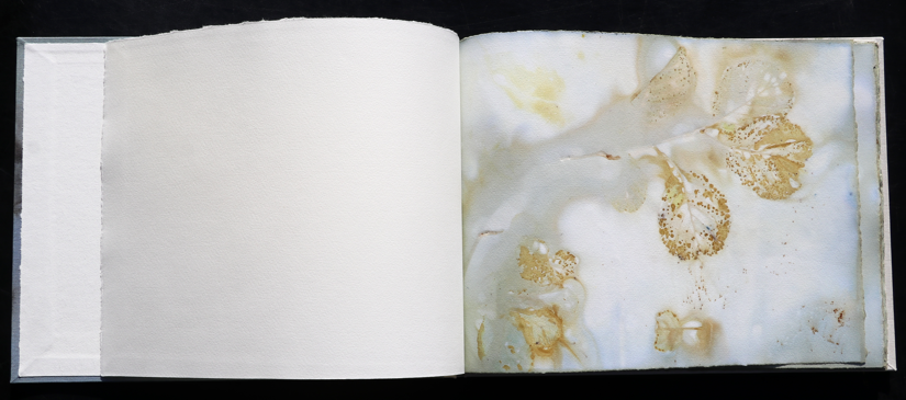 artistbook Kuenstlerbuch