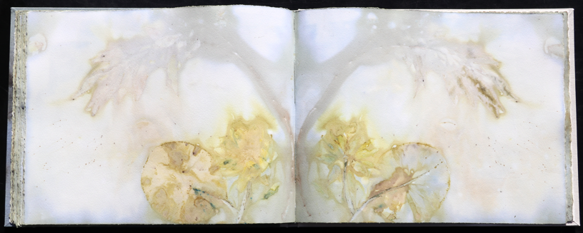 artistbook Kuenstlerbuch