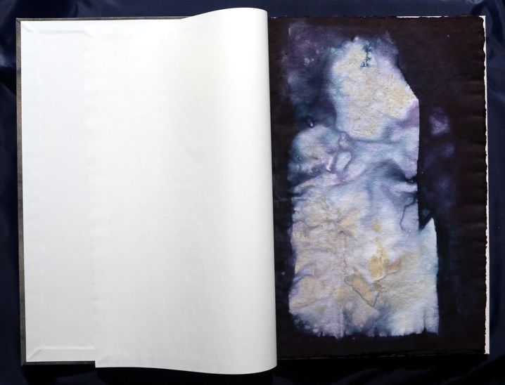 Ecodyed artistbook