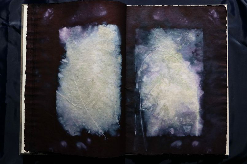 Ecodyed artistbook