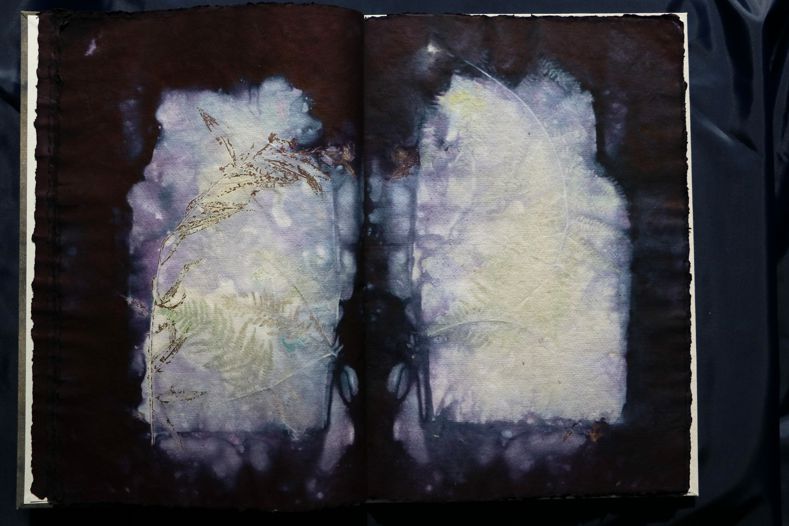 Ecodyed artistbook