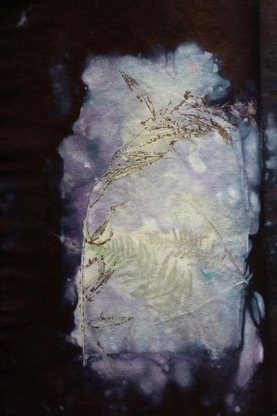 Ecodyed artistbook