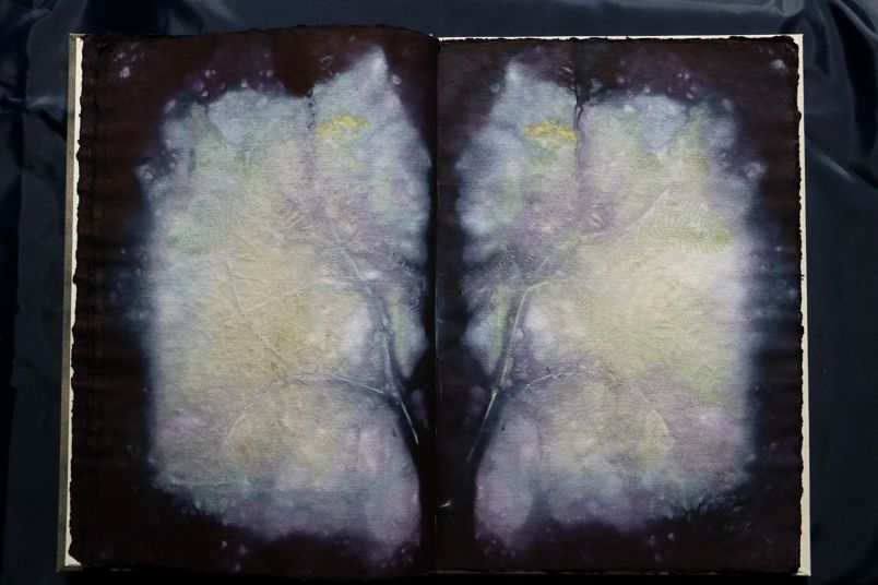 Ecodyed artistbook