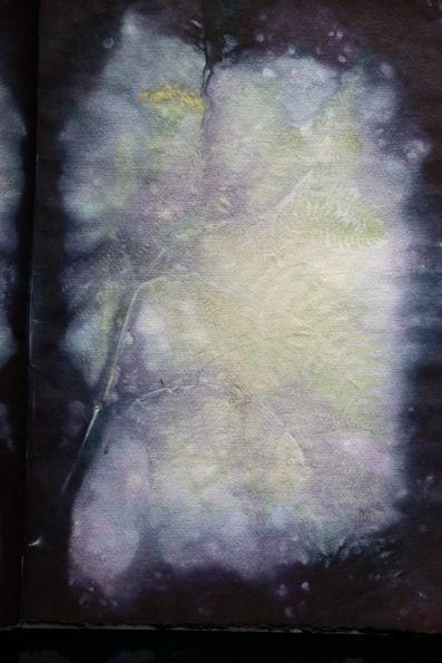 Ecodyed artistbook