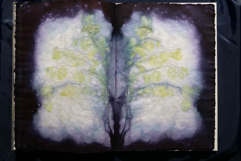 Ecodyed artistbook