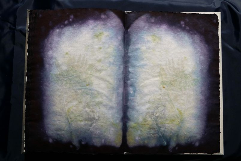 Ecodyed artistbook