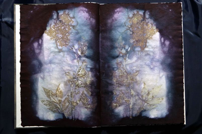 Ecodyed artistbook