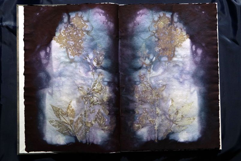 Ecodyed artistbook