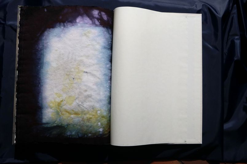 Ecodyed artistbook