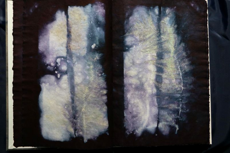 Ecodyed artistbook