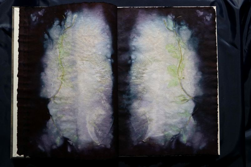 Ecodyed artistbook