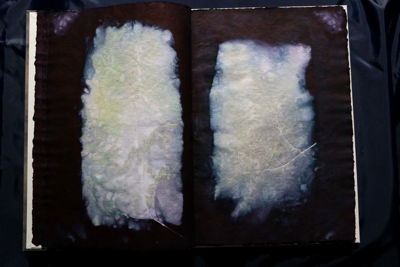 Ecodyed artistbook