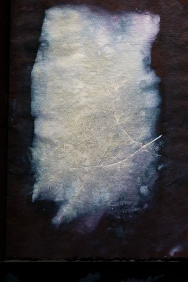 Ecodyed artistbook