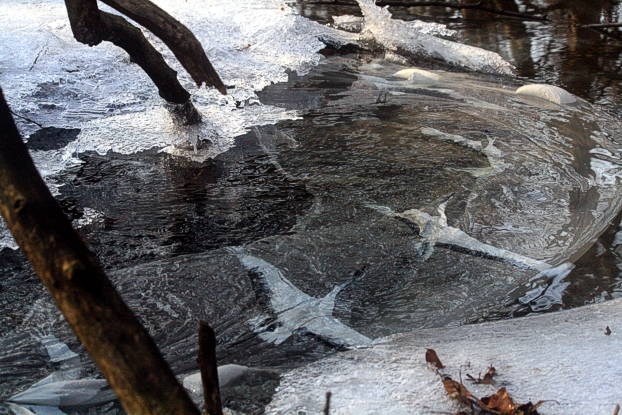 Landart Environmental Art