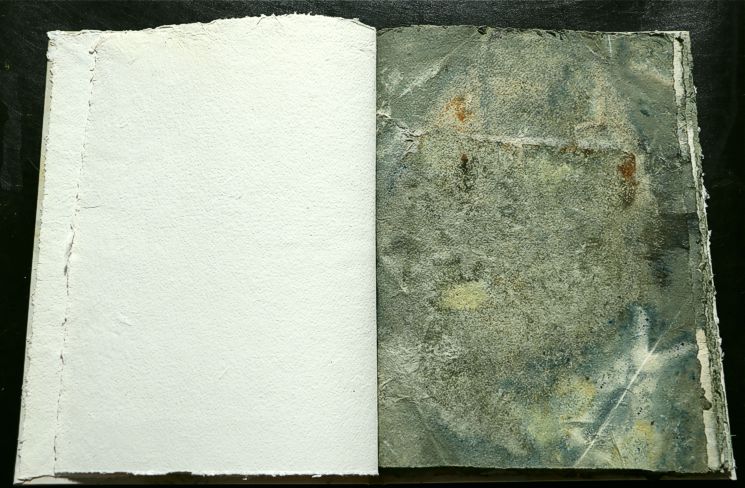 Artistbook by Leonhardt