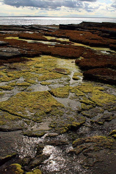 Land Art and Environmental Art