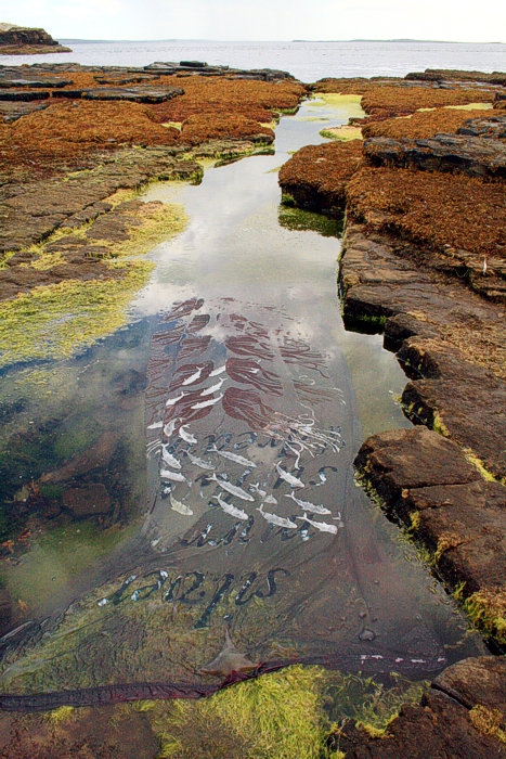 Land Art and Environmental Art