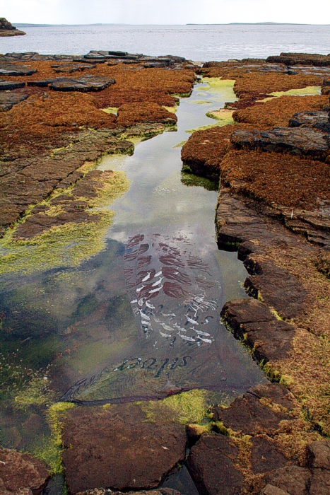 Land Art and Environmental Art