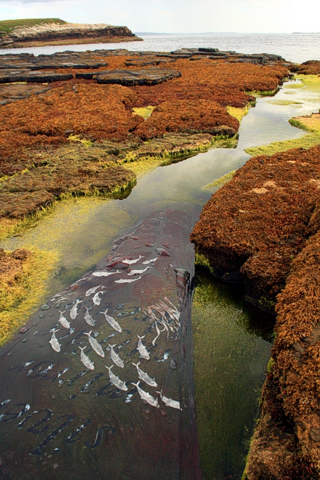 Land Art and Environmental Art