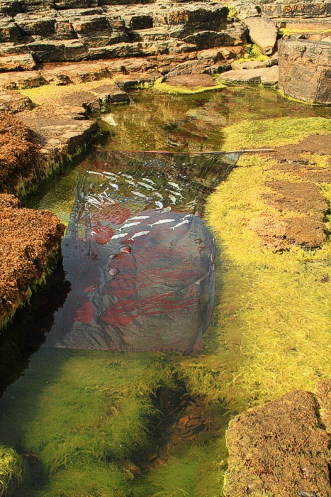 Land Art and Environmental Art