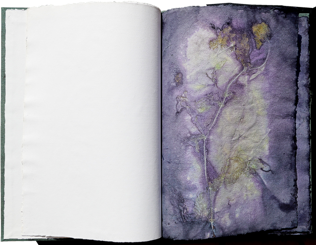 Artistbook ecodyed Leonhardt