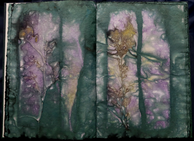 Artistbook ecodyed Leonhardt