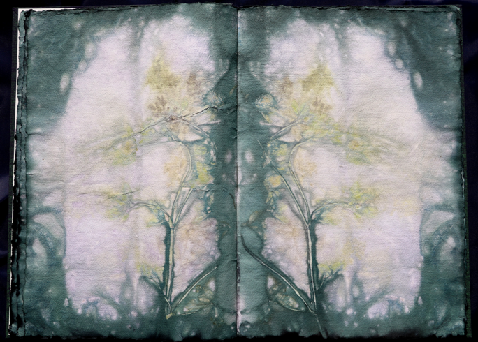 Artistbook ecodyed Leonhardt