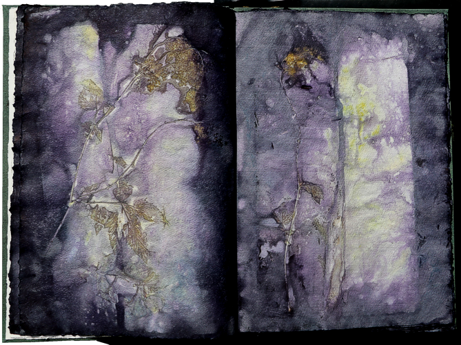 Artistbook ecodyed Leonhardt