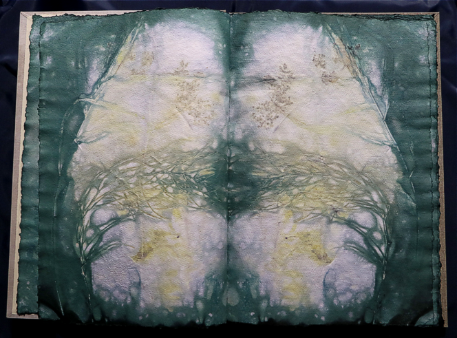 Artistbook ecodyed Leonhardt