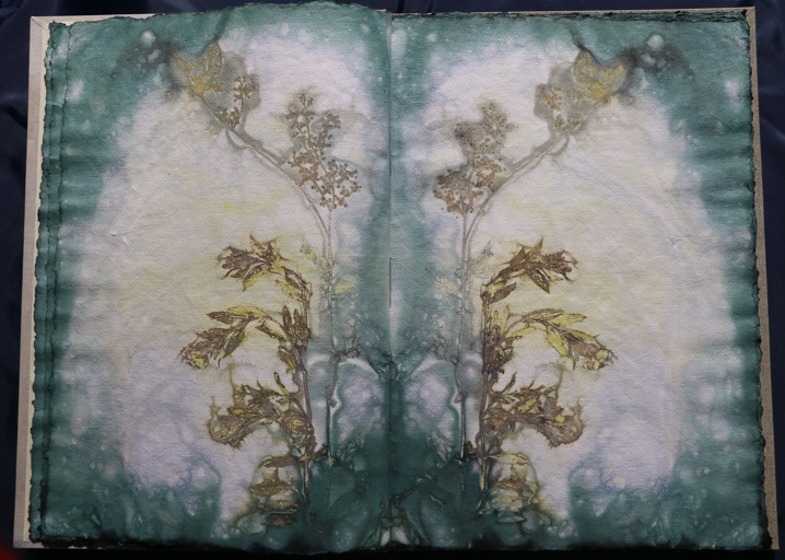 Artistbook ecodyed Leonhardt