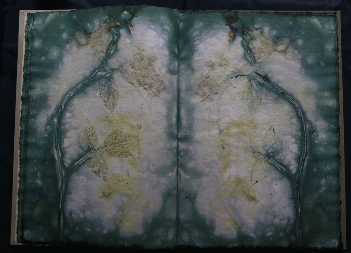 Artistbook ecodyed Leonhardt