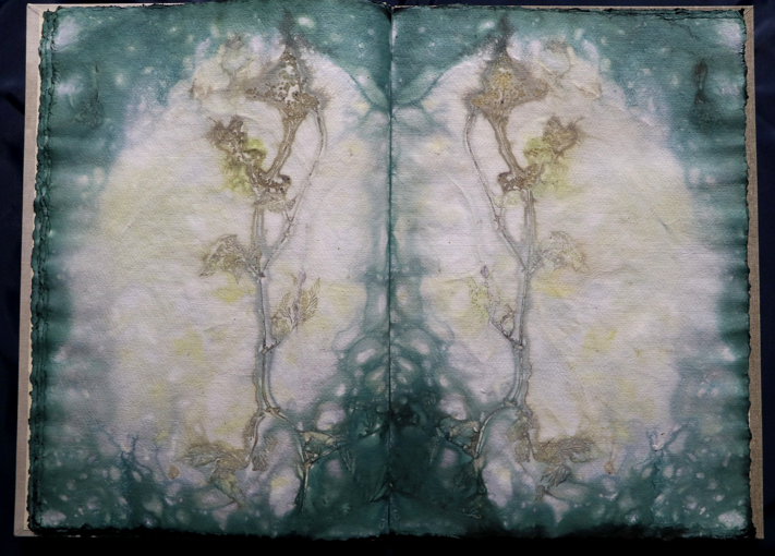 Artistbook ecodyed Leonhardt