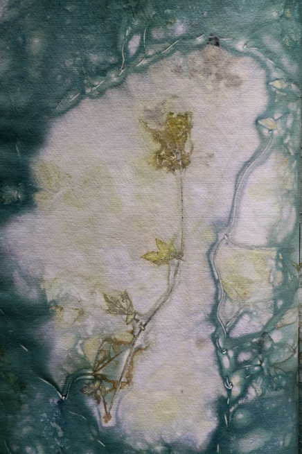 Artistbook ecodyed Leonhardt