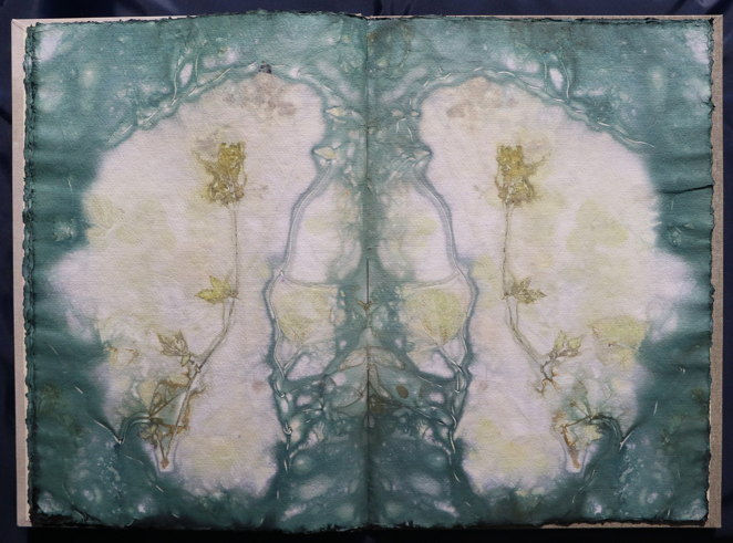 Artistbook ecodyed Leonhardt