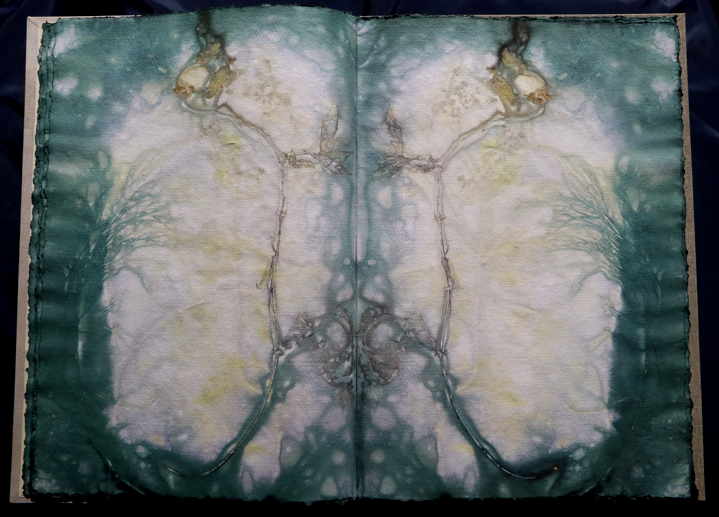 Artistbook ecodyed Leonhardt