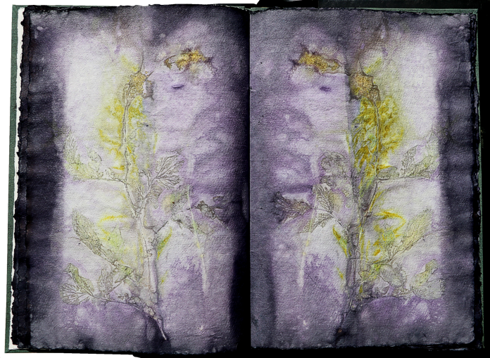 Artistbook ecodyed Leonhardt