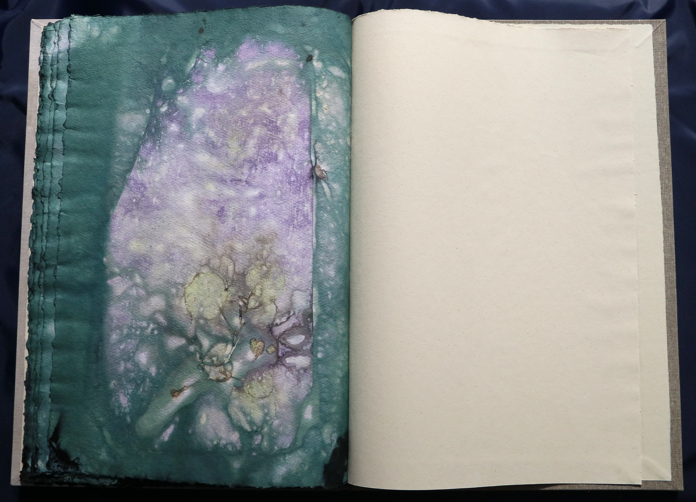 Artistbook ecodyed Leonhardt