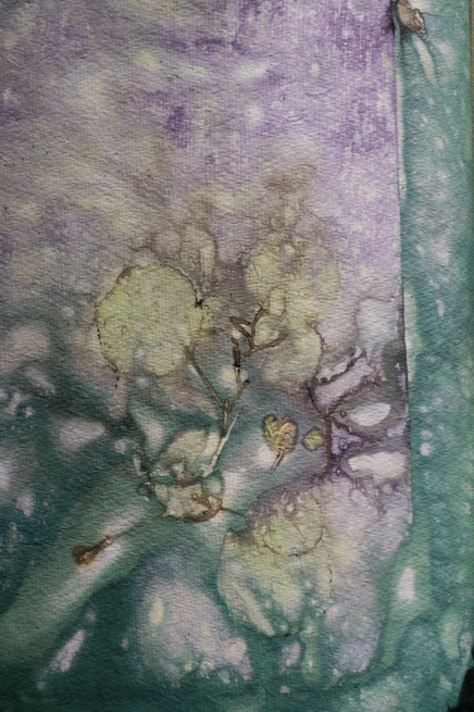 Artistbook ecodyed Leonhardt