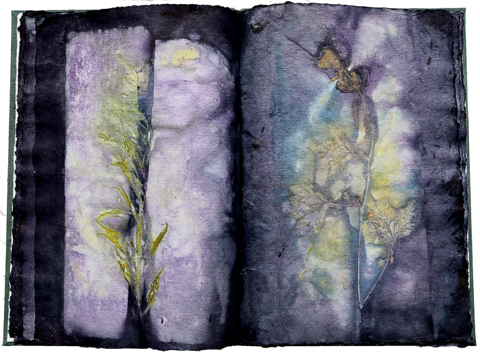 Artistbook ecodyed Leonhardt