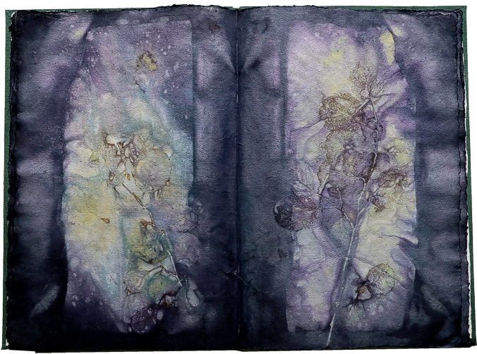 Artistbook ecodyed Leonhardt