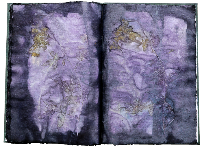 Artistbook ecodyed Leonhardt