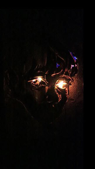 Feuerportrait