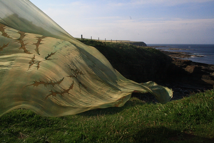 Landart at Orkney