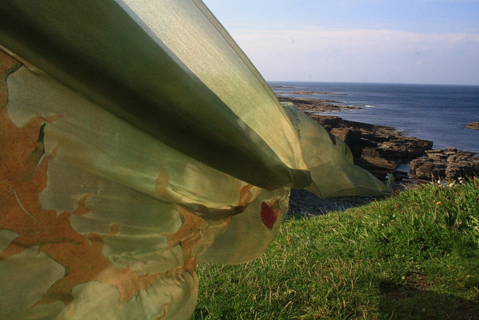 Landart at Orkney